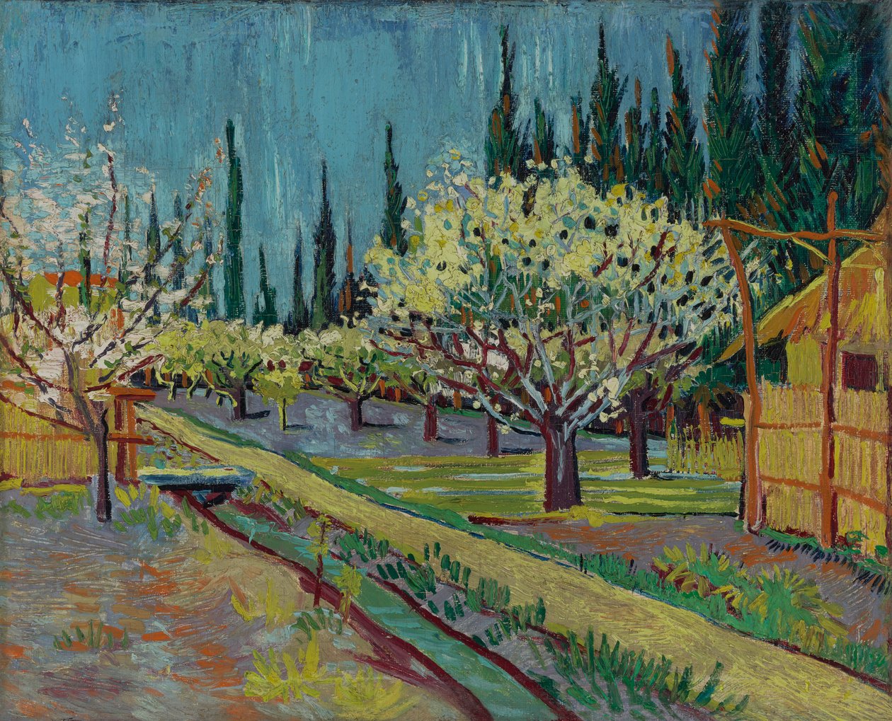 Sad otoczony cyprysami autorstwa Vincent van Gogh