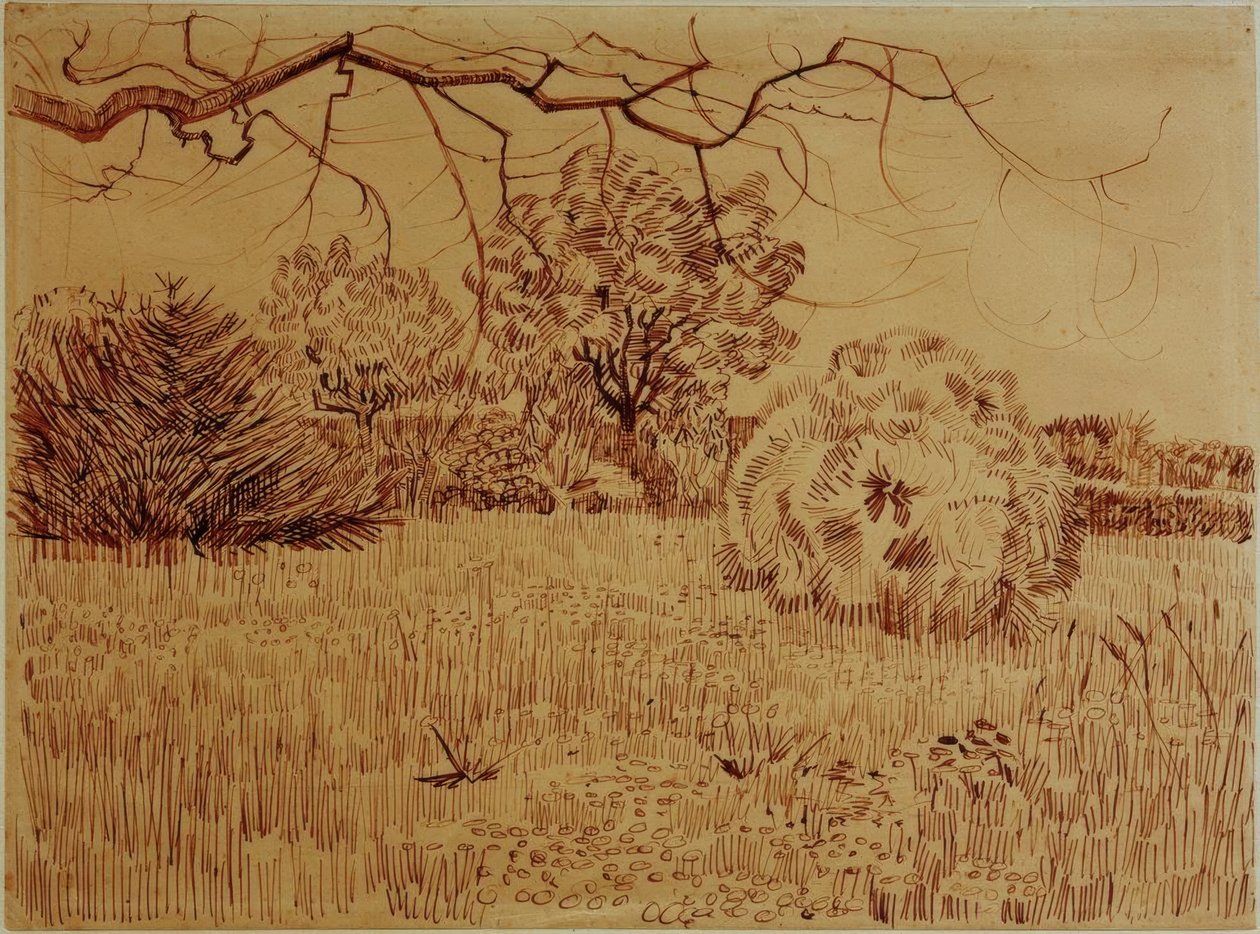 Park z krzakiem autorstwa Vincent van Gogh