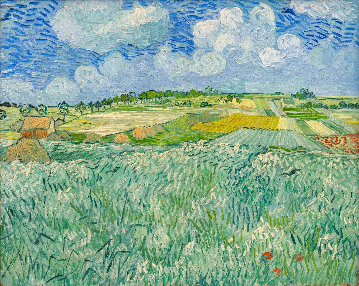 Równina koło Auvers autorstwa Vincent van Gogh
