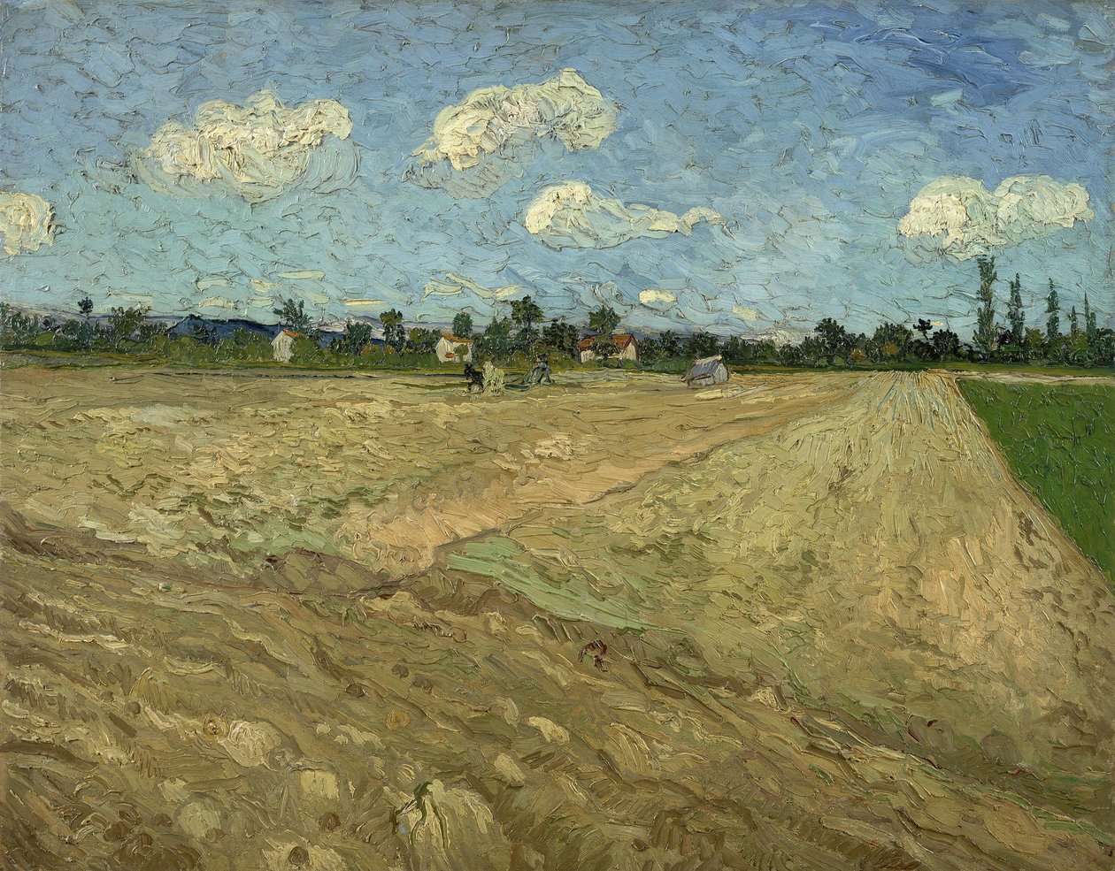 Zaorane pola („Bruzdy”) autorstwa Vincent van Gogh