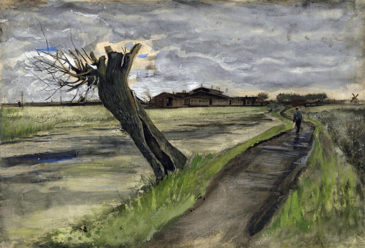 Pollard Willow (Saule Tetard) par Gogh, Vincent, van (1853-1890). Ołówek, akwarela, gwasz, tusz na papierze, wymiary : 38x55,8 autorstwa Vincent van Gogh
