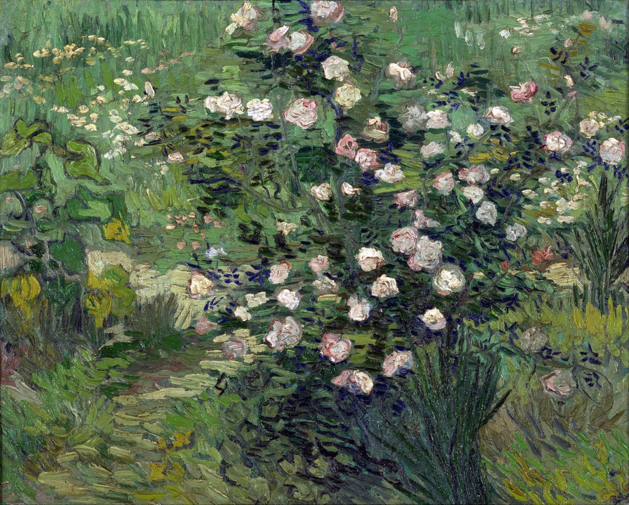 „Róże” Peinture de Vincent van Gogh (1853-1890) 1889 Narodowe Muzeum Sztuki Zachodniej, Tokio, Frock autorstwa Vincent van Gogh