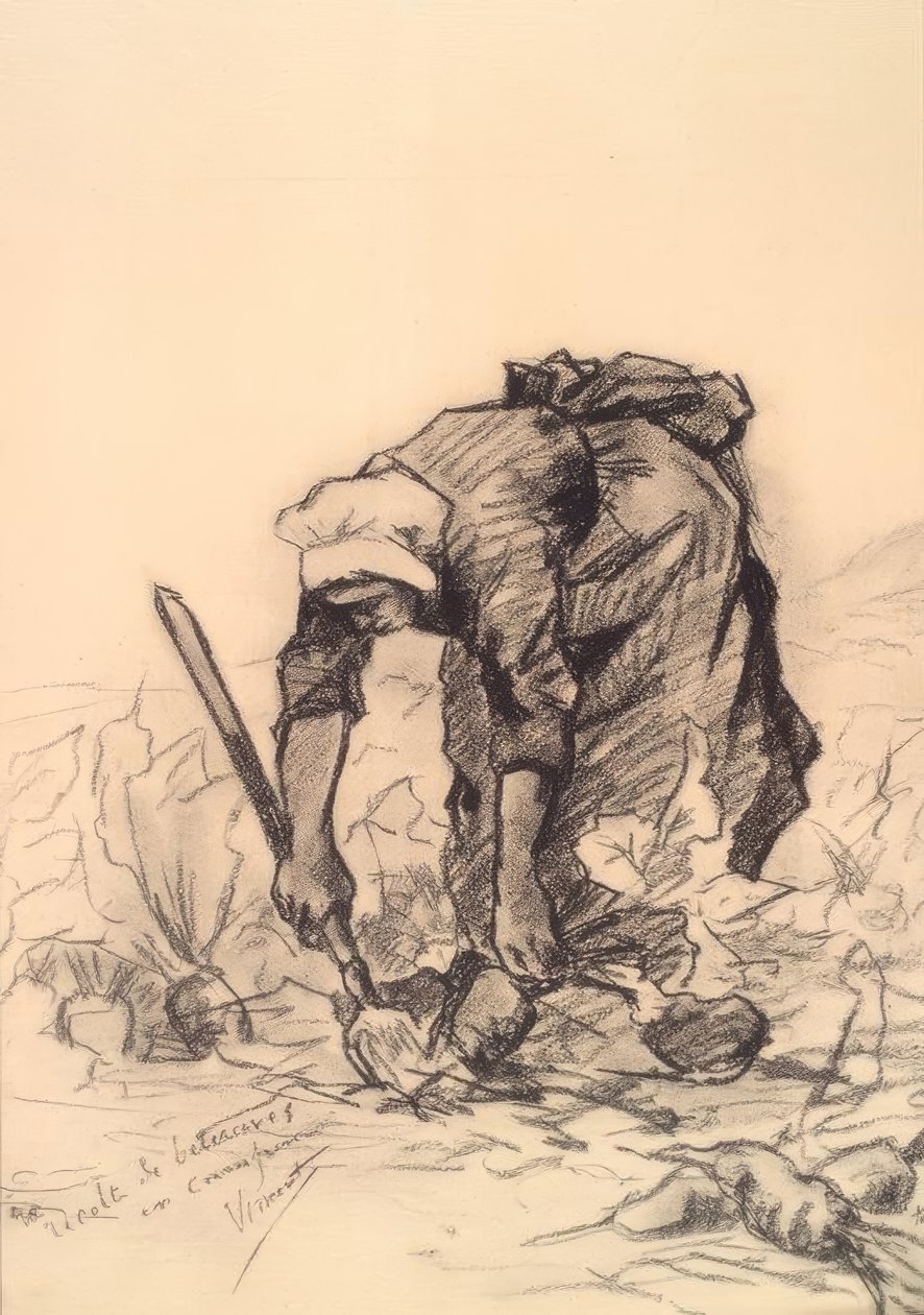 Krajalnica do buraków autorstwa Vincent van Gogh