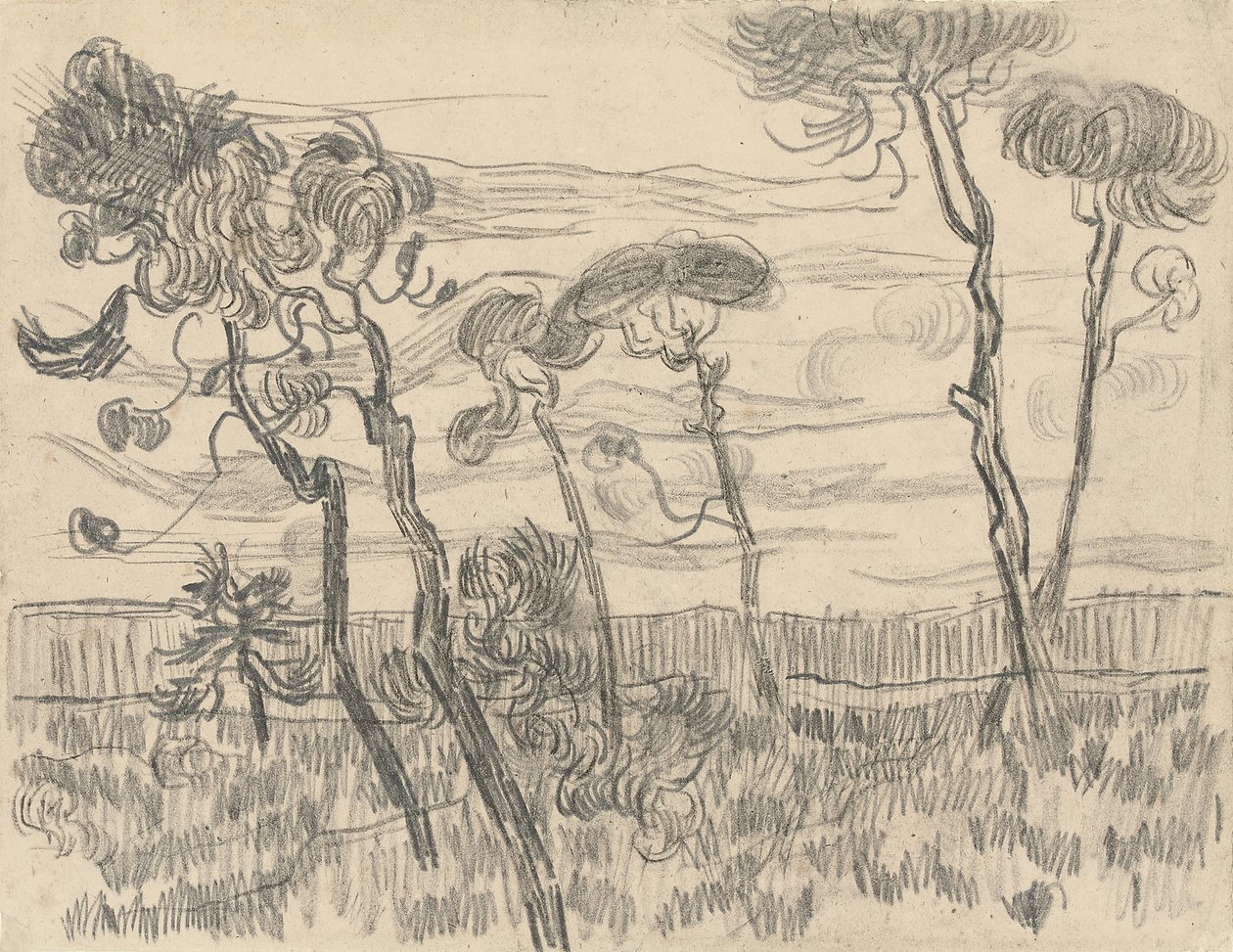 Sześć sosen w pobliżu ściany ogrodzenia, 1899 autorstwa Vincent van Gogh
