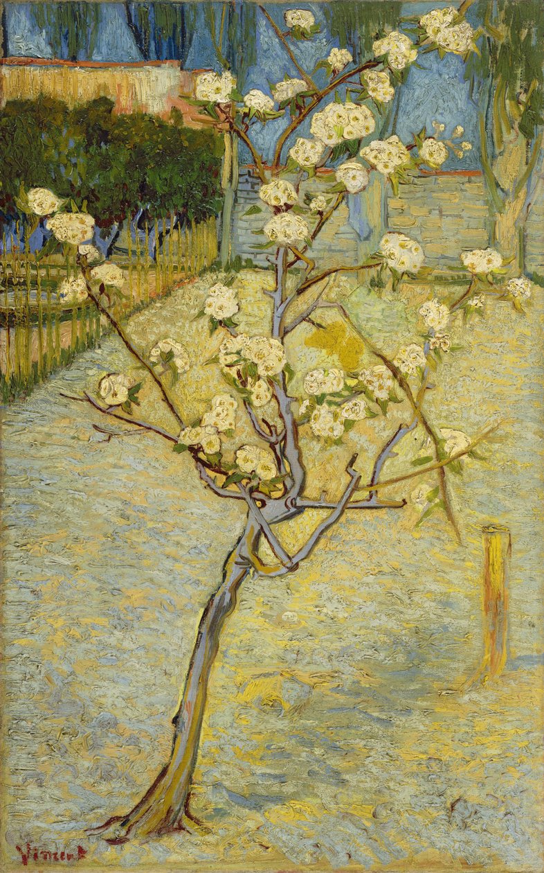 Mała kwitnąca grusza autorstwa Vincent van Gogh