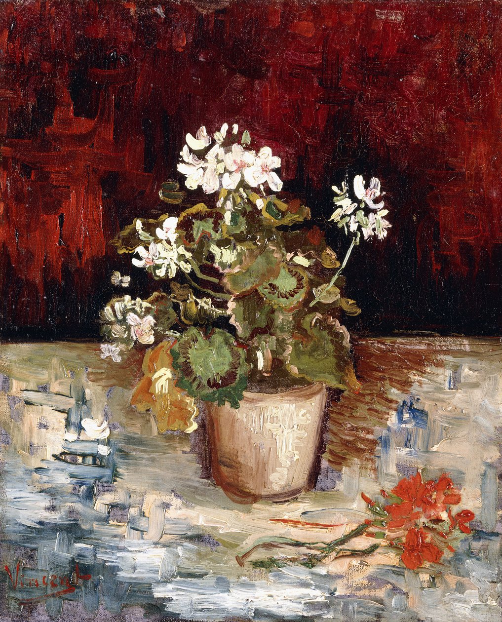 Martwa natura garnek pelargonii, 1886 autorstwa Vincent van Gogh