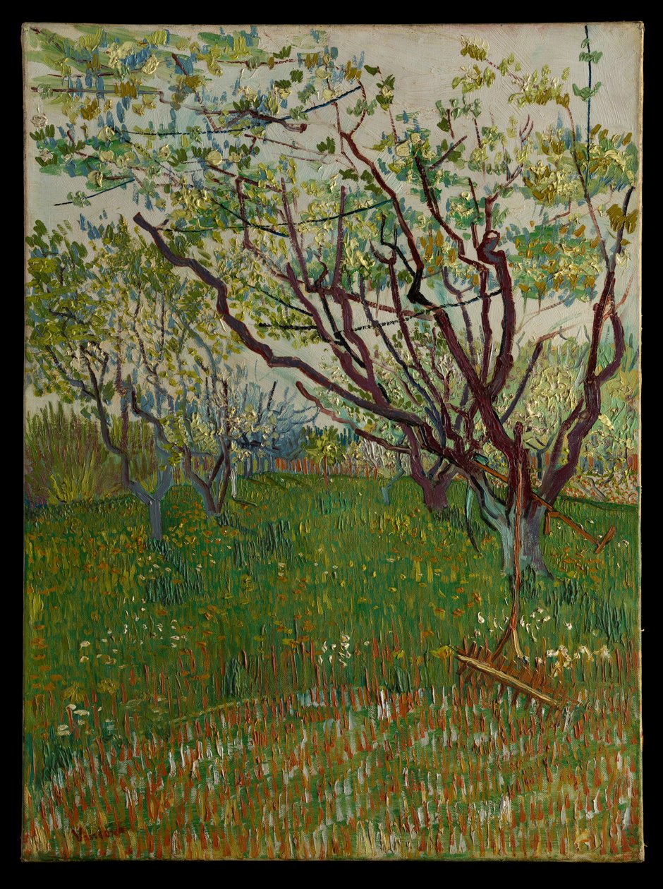 Kwitnący sad autorstwa Vincent van Gogh