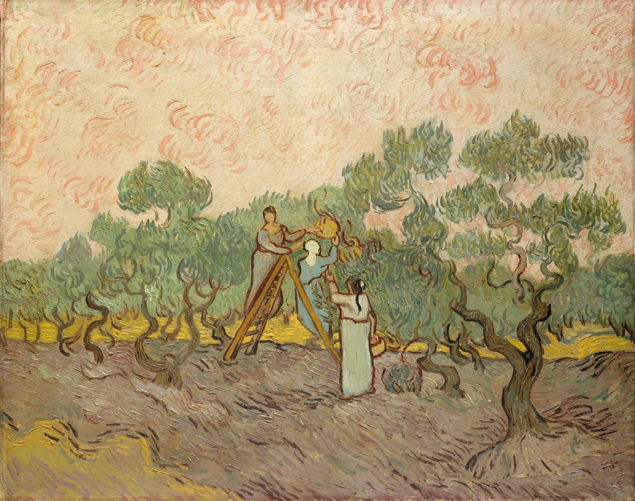 Zbieracze oliwek, Saint-Remy autorstwa Vincent van Gogh