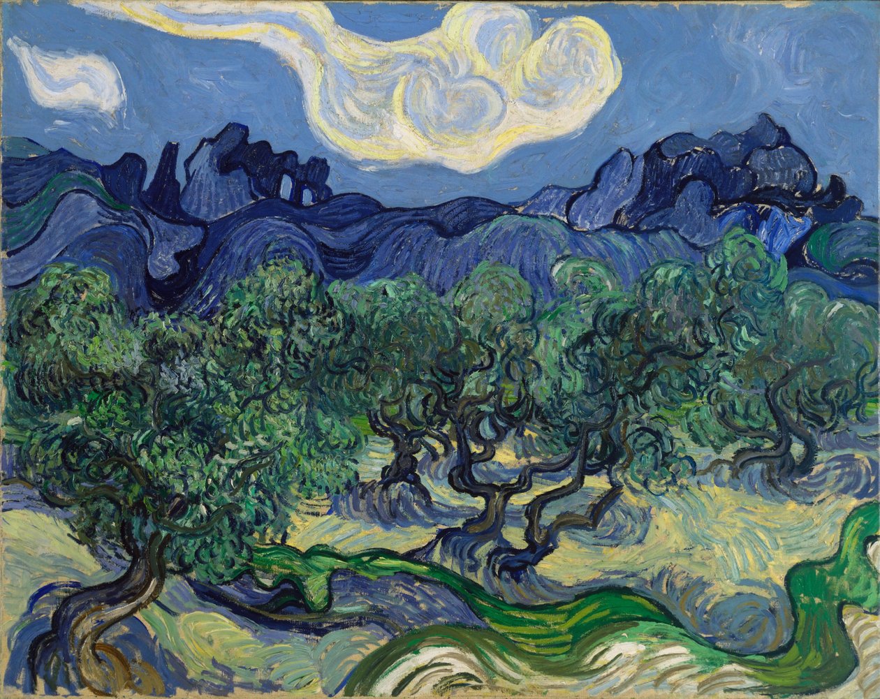 Drzewa oliwne autorstwa Vincent van Gogh