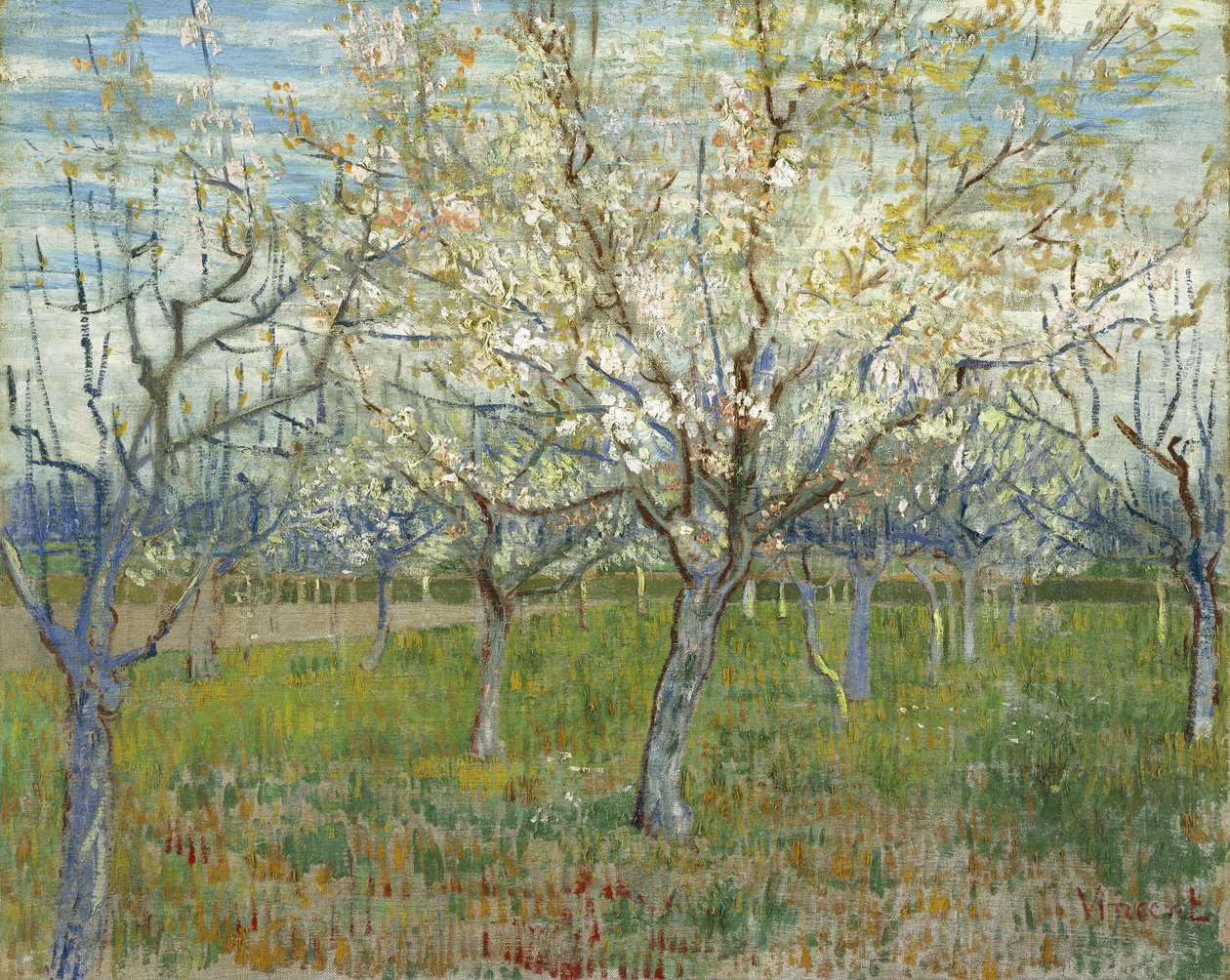 Różowy sad, także Sad z kwitnącymi morelami autorstwa Vincent van Gogh