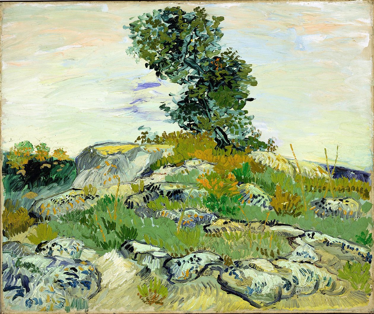 Skały autorstwa Vincent van Gogh