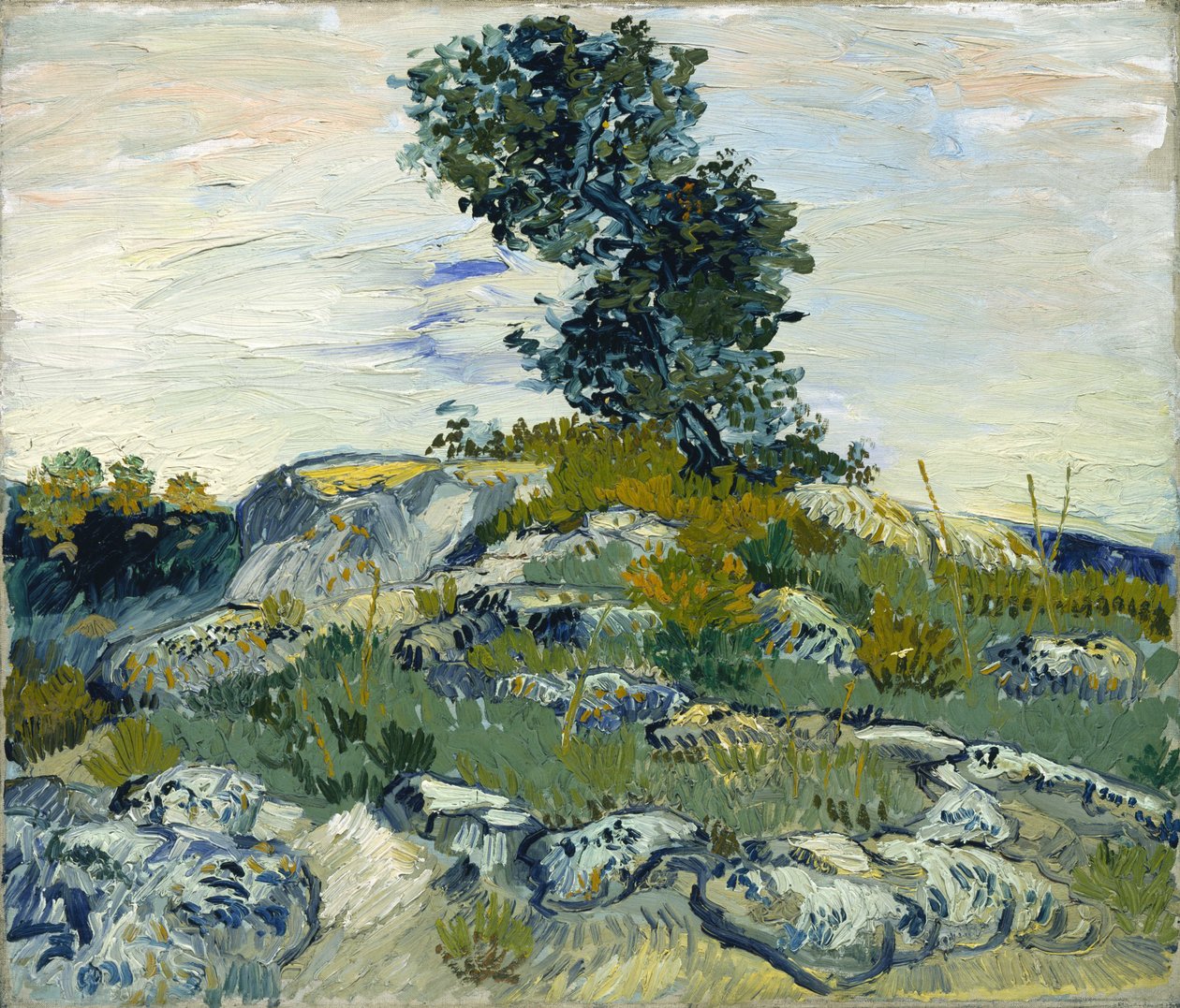 Skały / Skały z dębem autorstwa Vincent van Gogh