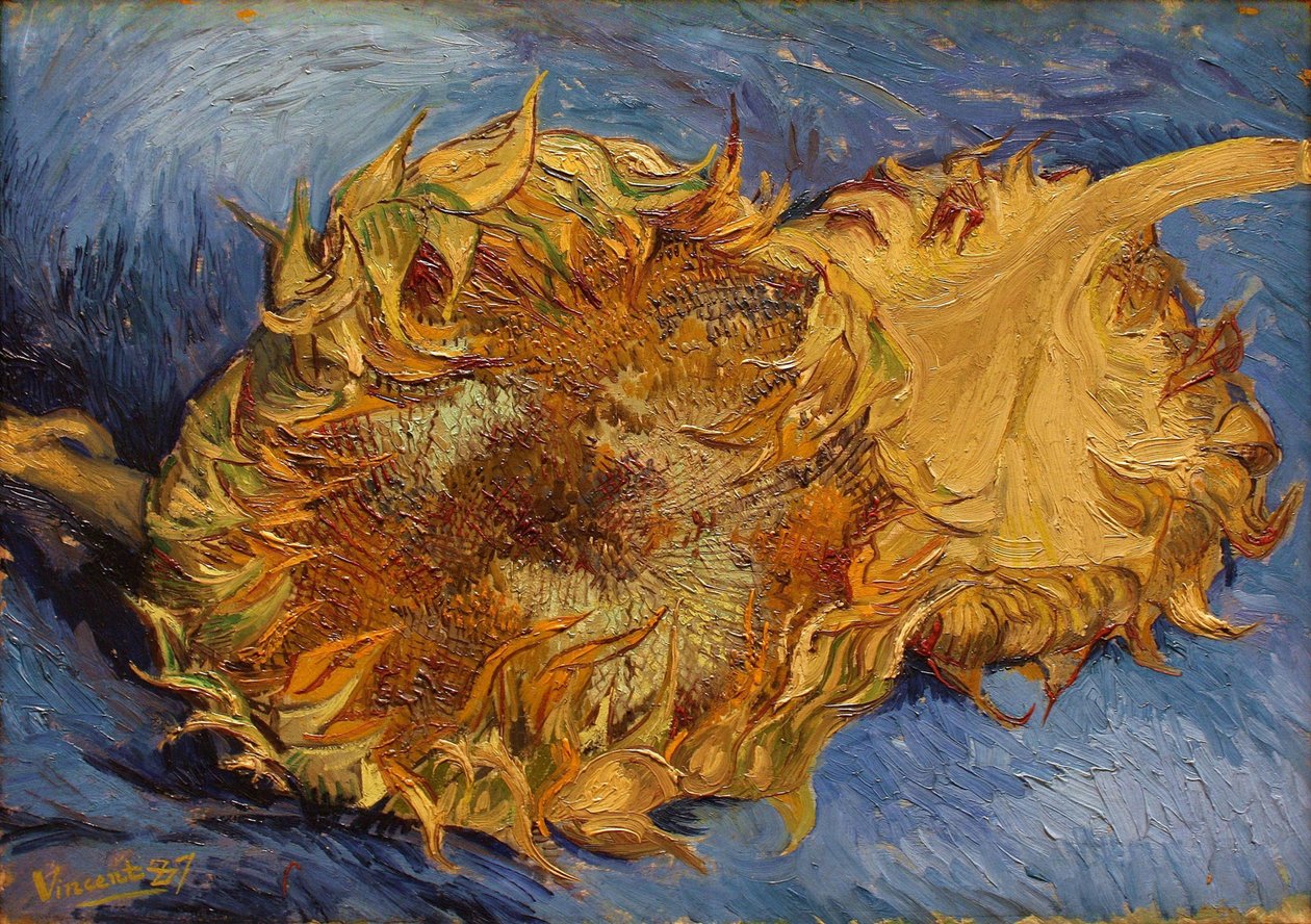 Słoneczniki, 1887 autorstwa Vincent van Gogh