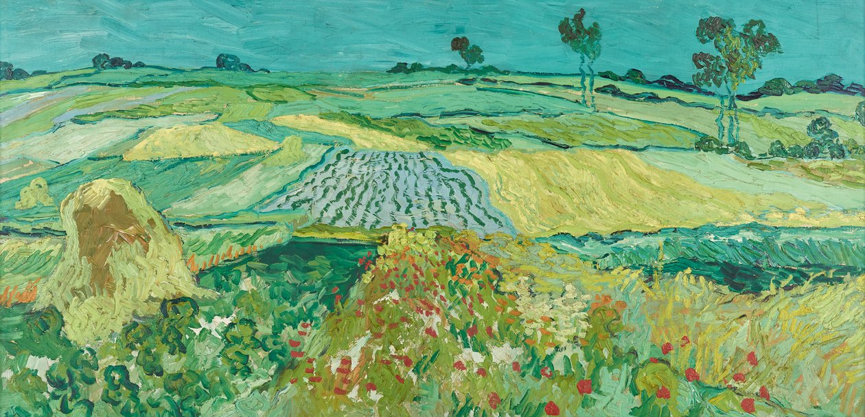 Równina w pobliżu Auvers autorstwa Vincent van Gogh