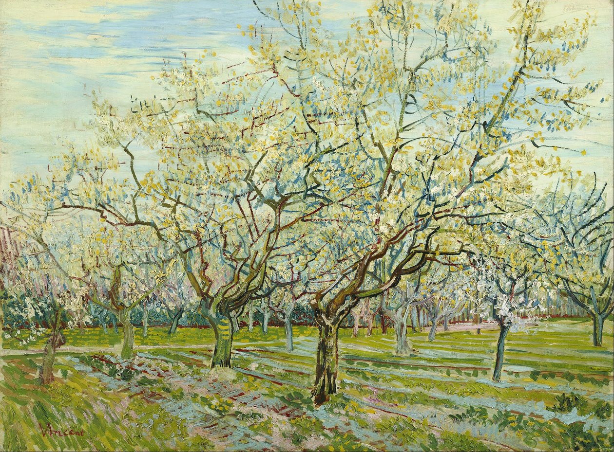 Biały sad autorstwa Vincent van Gogh