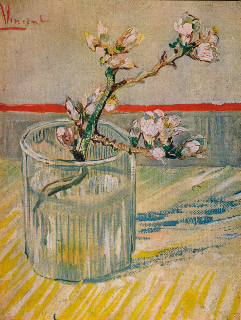 Łodyga kwitnienia migdałów, 1888 autorstwa Vincent van Gogh
