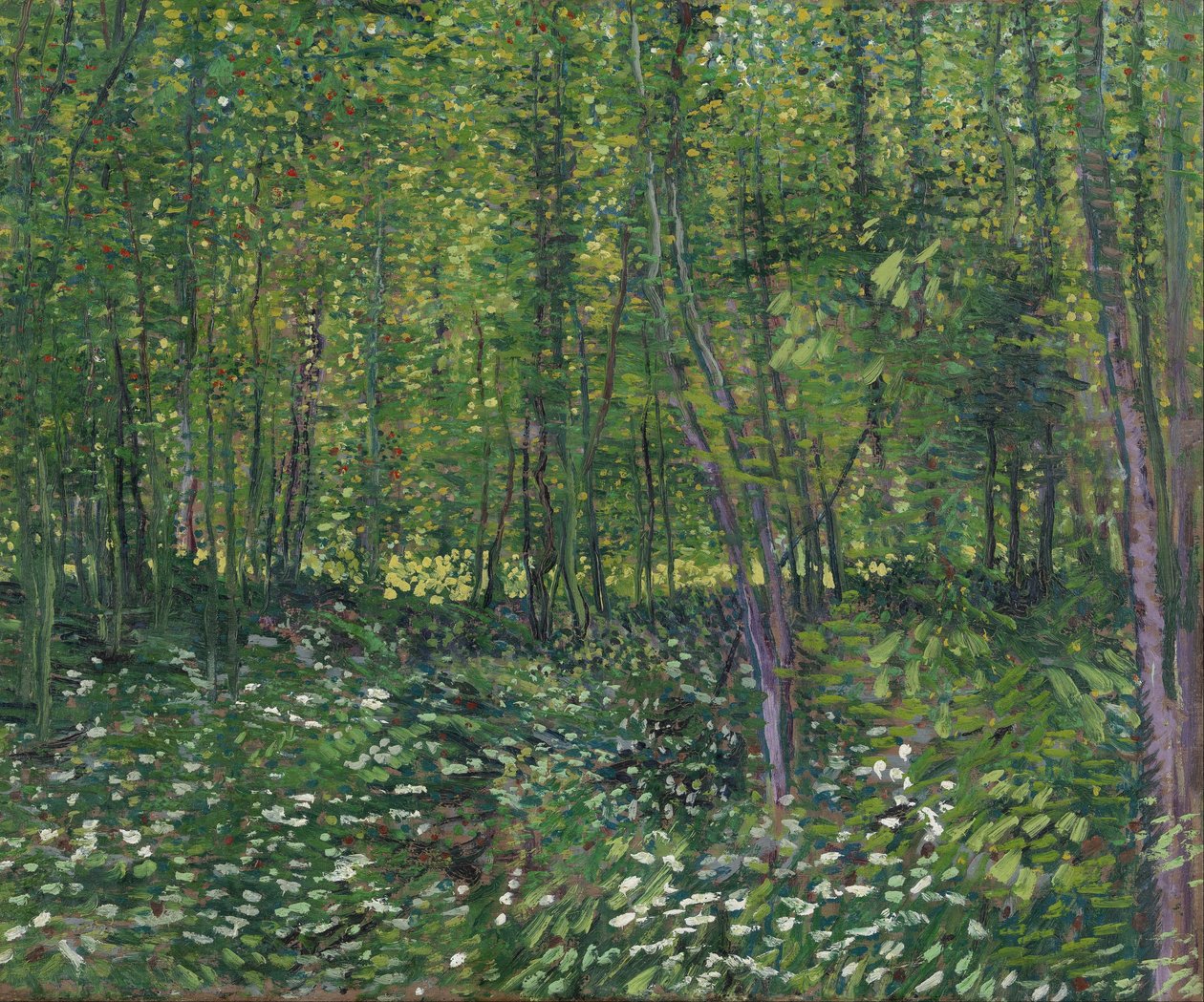 Drzewa i runo leśne autorstwa Vincent van Gogh