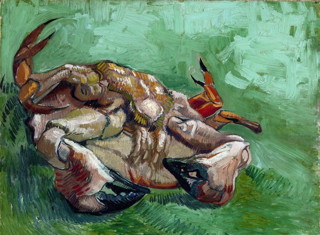 „Krab leżący na plecach” Obraz Vincenta van Gogha (1853-1890) 1889 Ciemny 38x46,5 cm Muzeum Van Gogha, Amsterdam autorstwa Vincent van Gogh