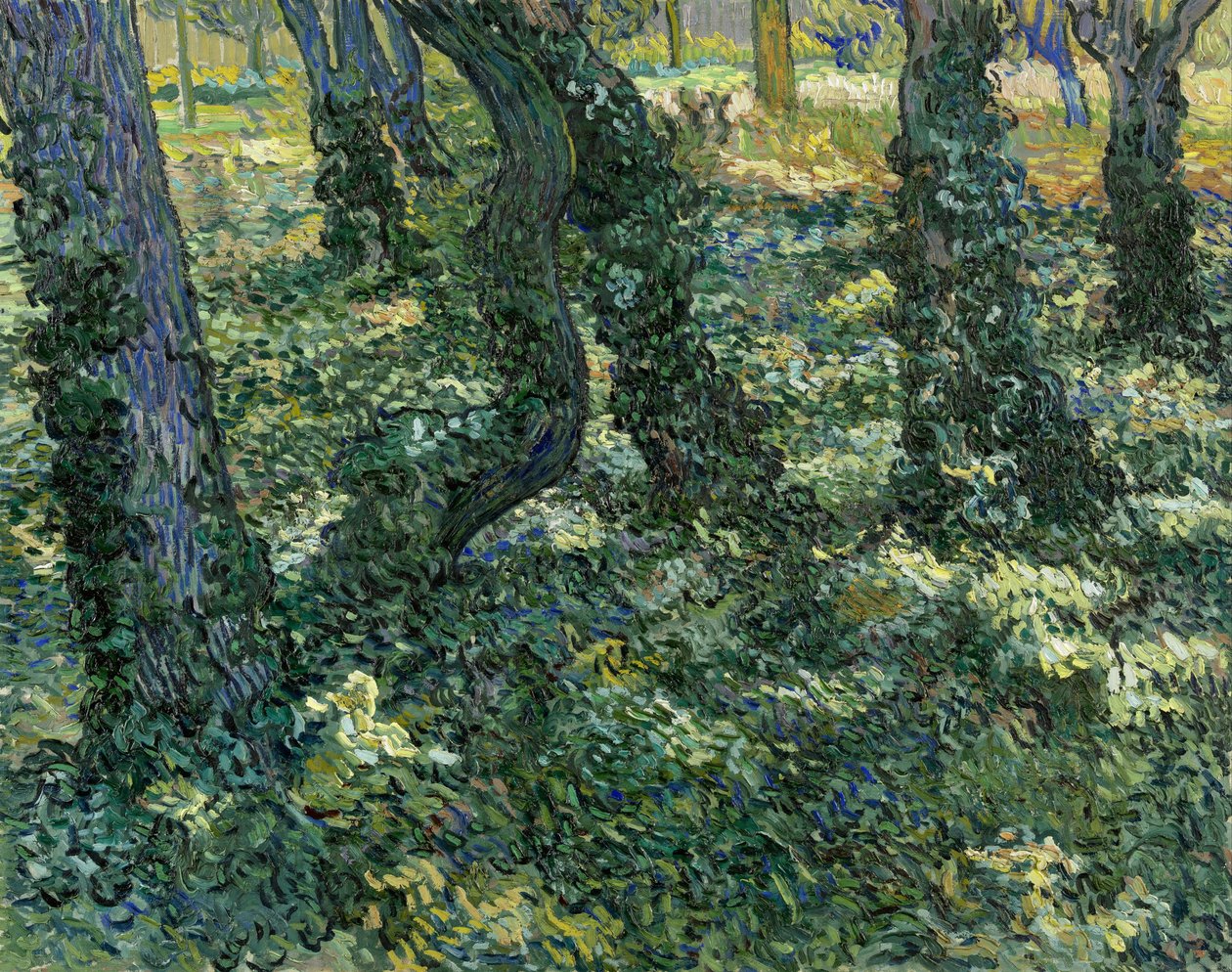 Zarośla, 1889 autorstwa Vincent van Gogh