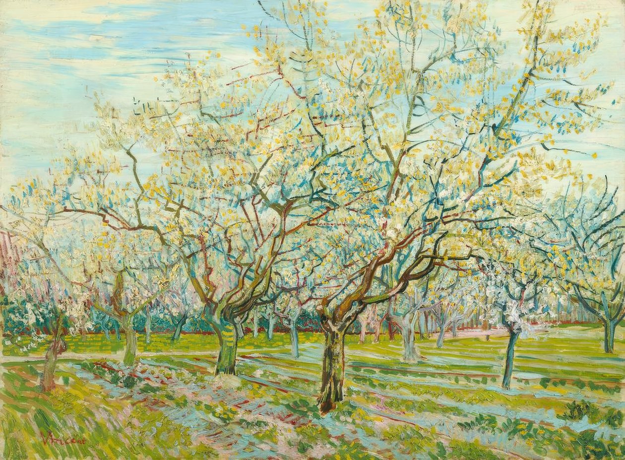 V. van Gogh, Biały sad autorstwa Vincent van Gogh