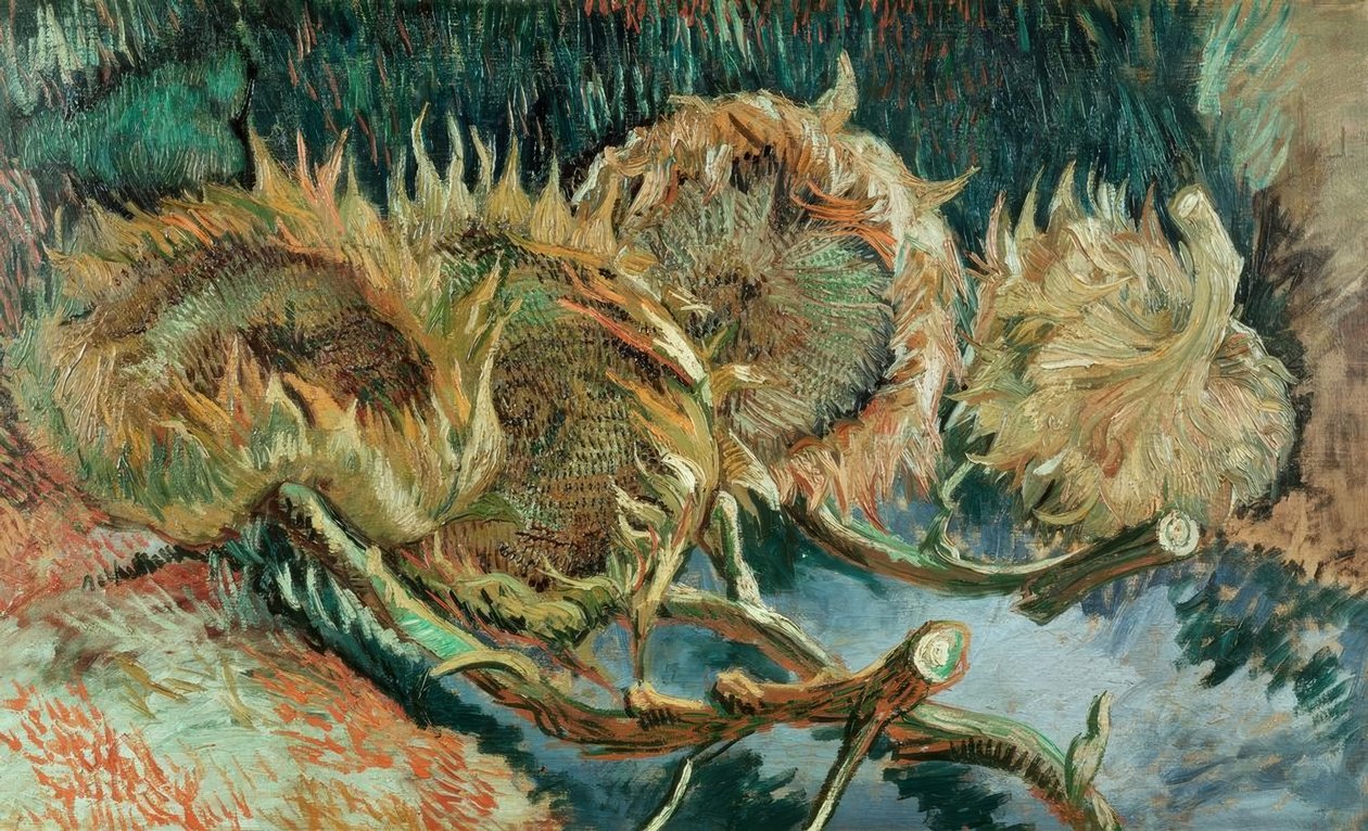 Cztery zwiędłe słoneczniki autorstwa Vincent van Gogh