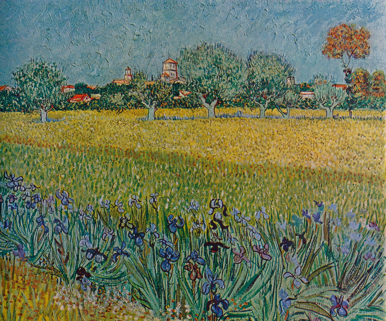 Widok Ales z irysami w rozkwicie, 1888 autorstwa Vincent van Gogh