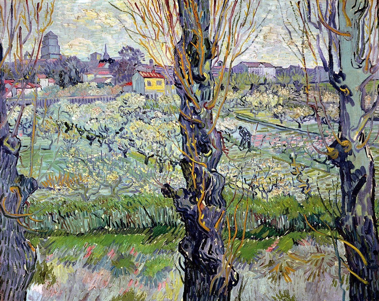 Widok na Arles autorstwa Vincent van Gogh
