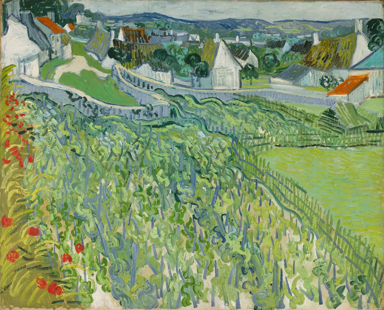 Winnice w Auvers autorstwa Vincent van Gogh