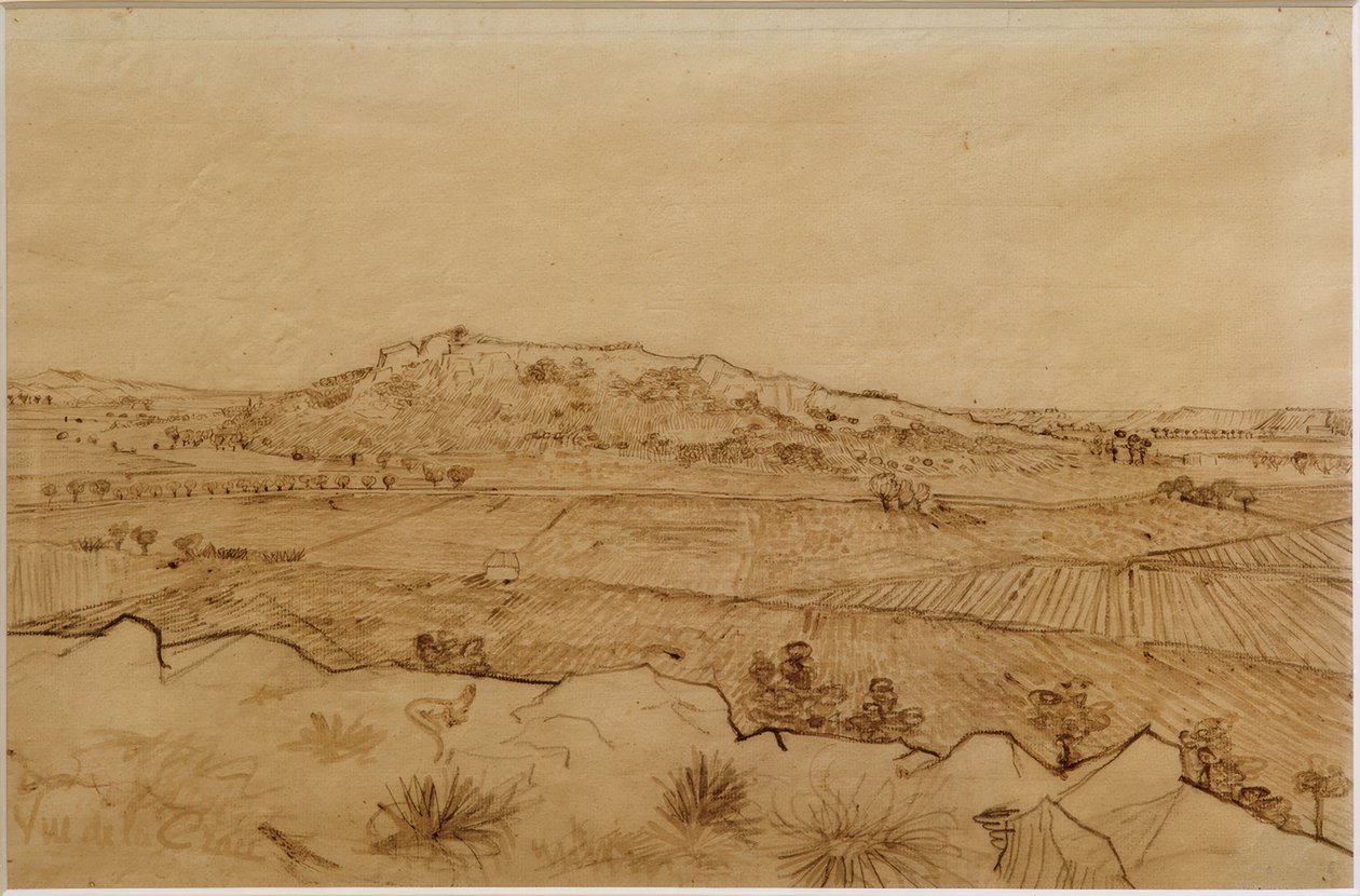 Widok na Crau autorstwa Vincent van Gogh