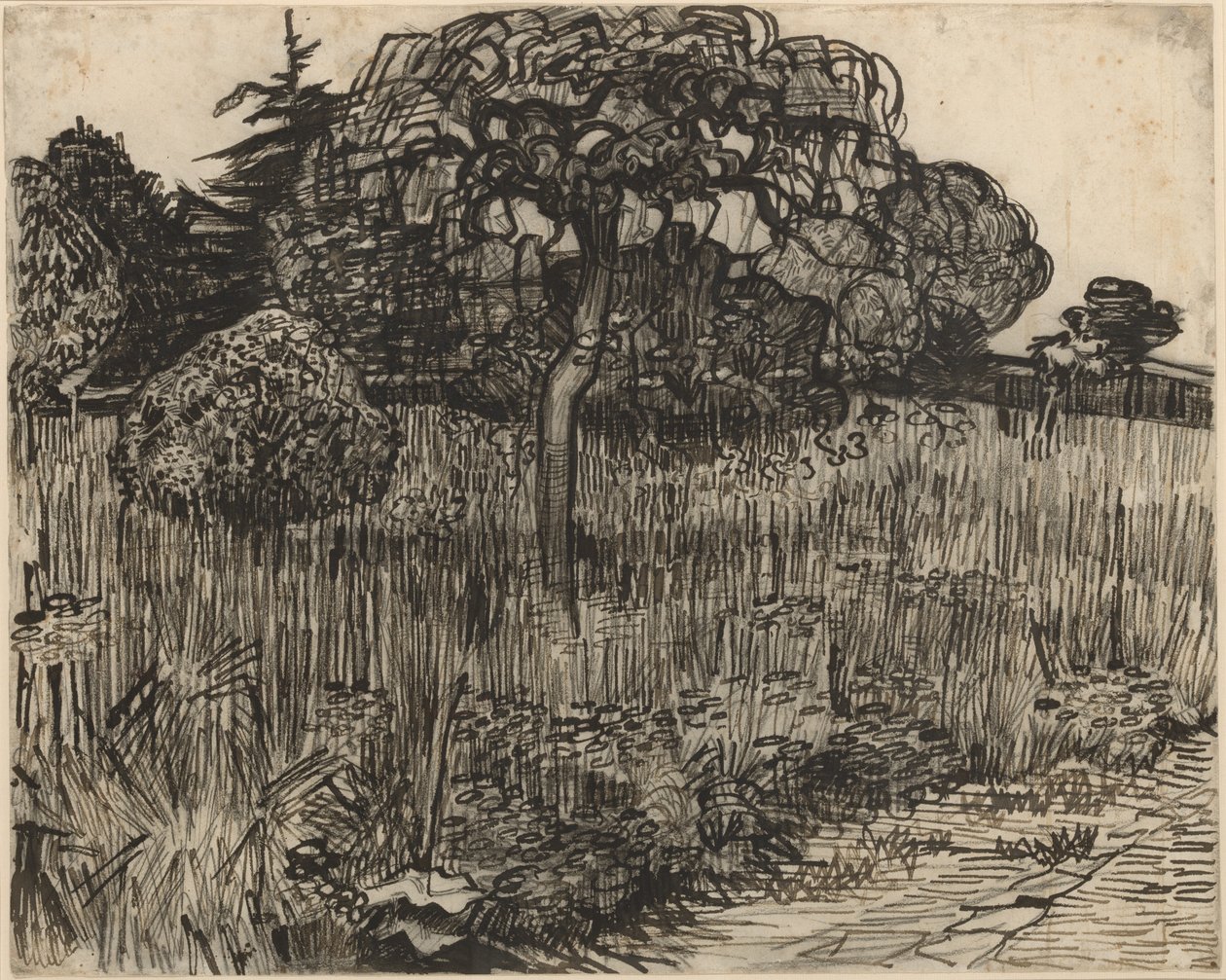 Płaczące drzewo autorstwa Vincent van Gogh