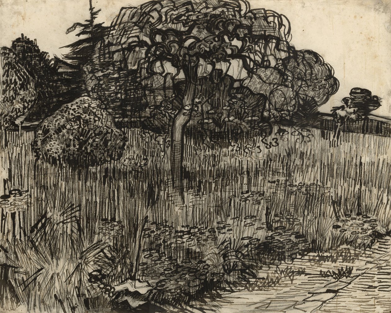 Płaczące drzewo, 1889 autorstwa Vincent van Gogh