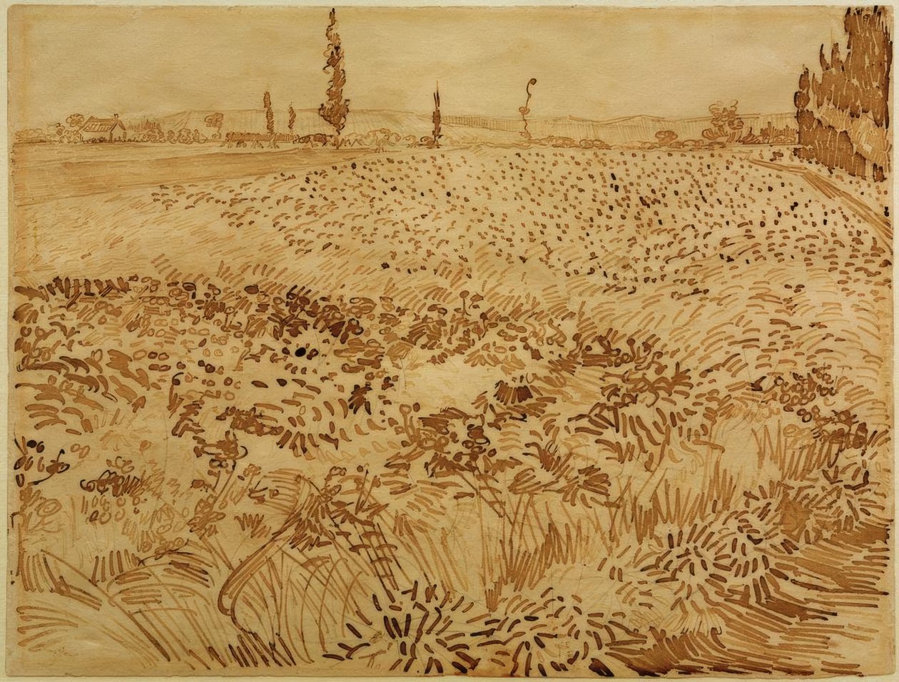 Pole pszenicy autorstwa Vincent van Gogh