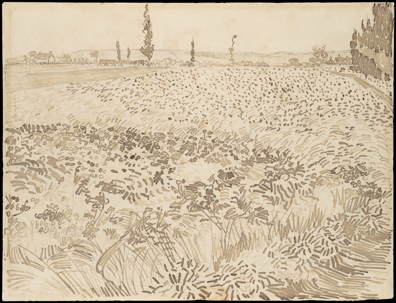 Pole pszenicy autorstwa Vincent van Gogh