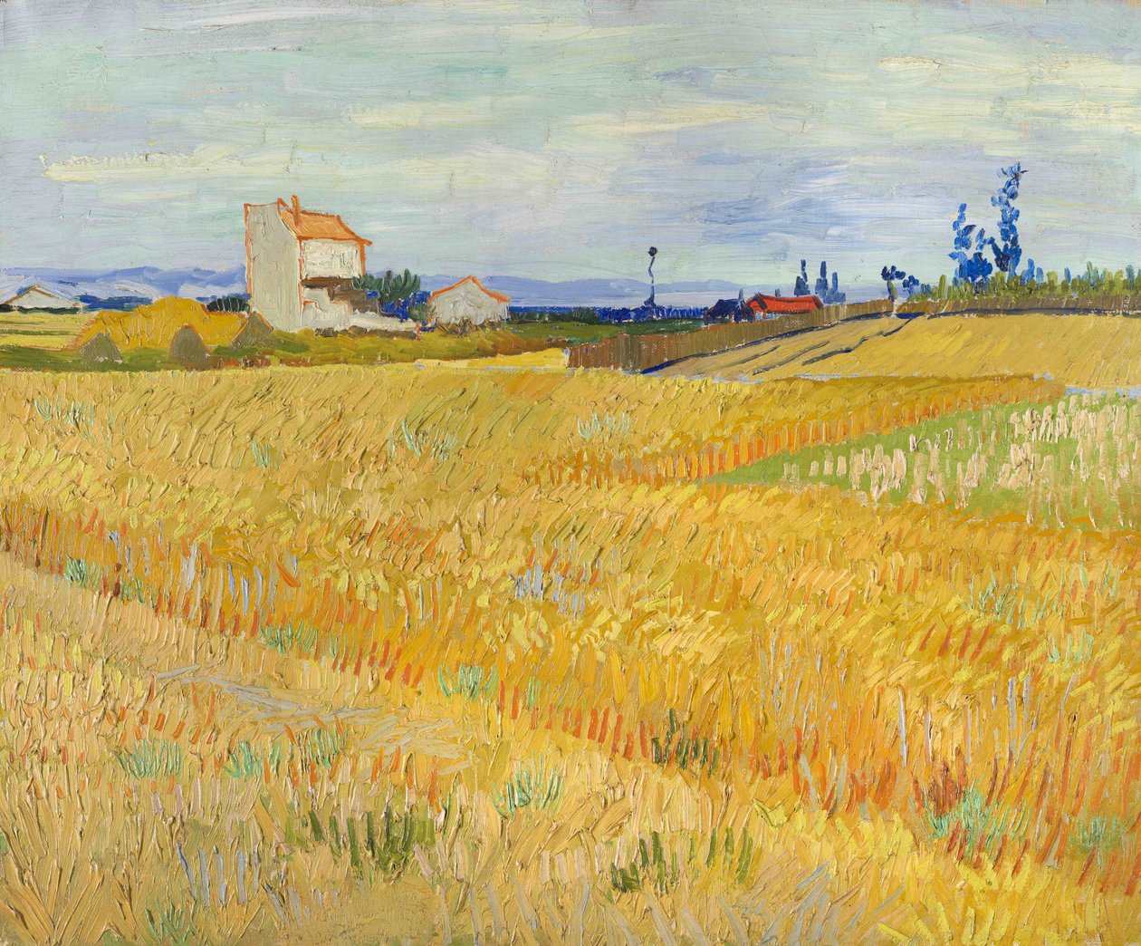 Pole pszenicy (Champs de blé) autorstwa Vincent van Gogh