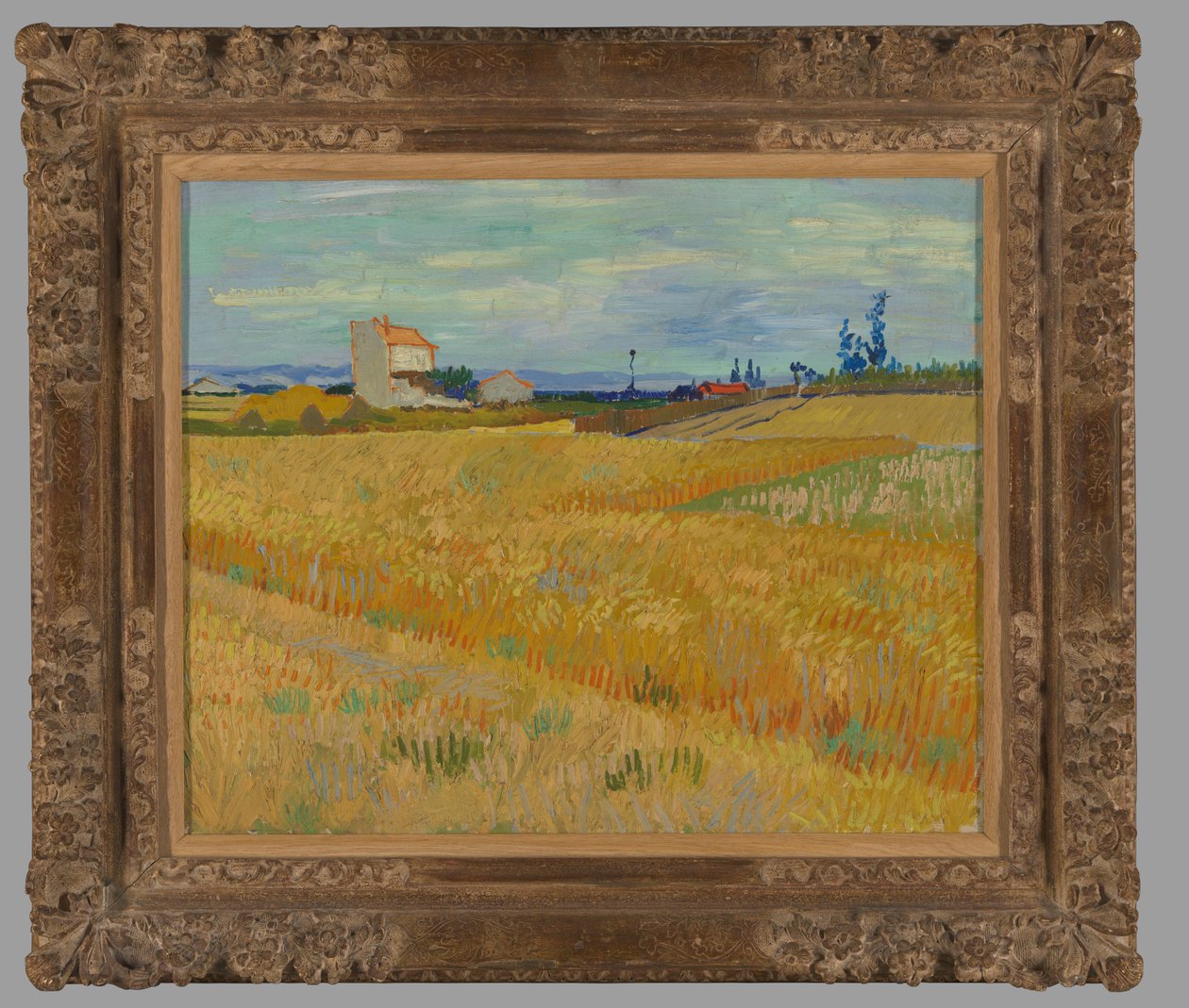 Pole pszenicy autorstwa Vincent van Gogh