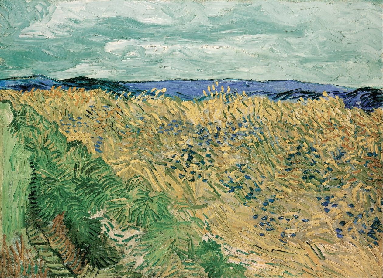 Pole pszenicy z chabrami autorstwa Vincent van Gogh