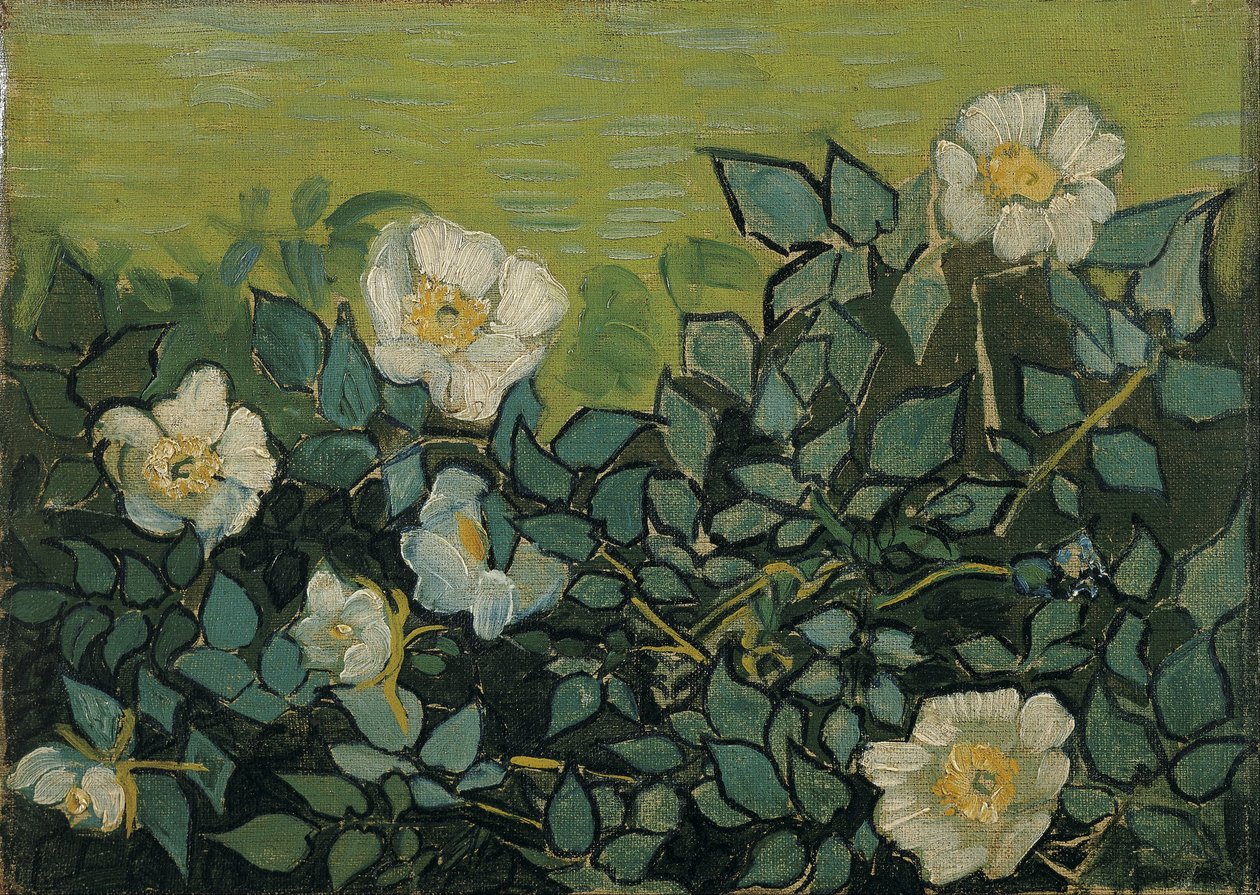 Dzikie róże autorstwa Vincent van Gogh