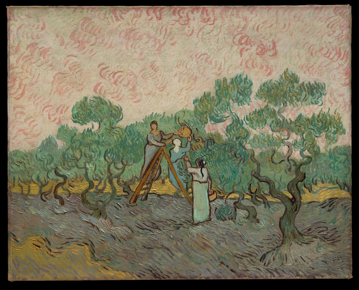 Kobiety zbierające oliwki autorstwa Vincent van Gogh