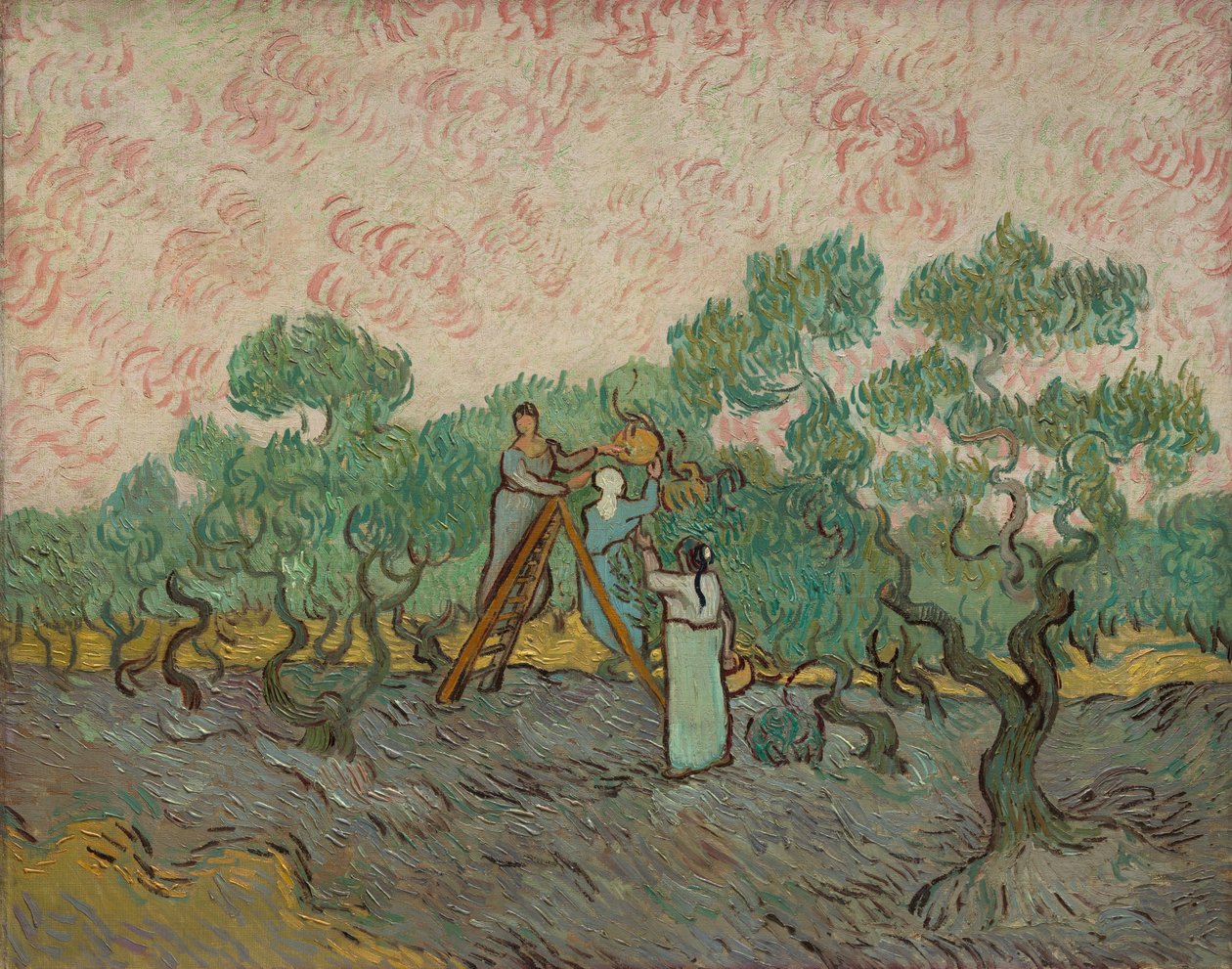 Kobiety zbierające oliwki, 1889. autorstwa Vincent van Gogh