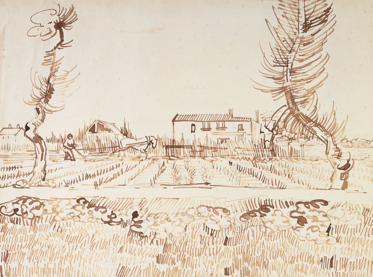 Praca na polach w Arles; Oracz na polach w Arles, 1888 autorstwa Vincent van Gogh
