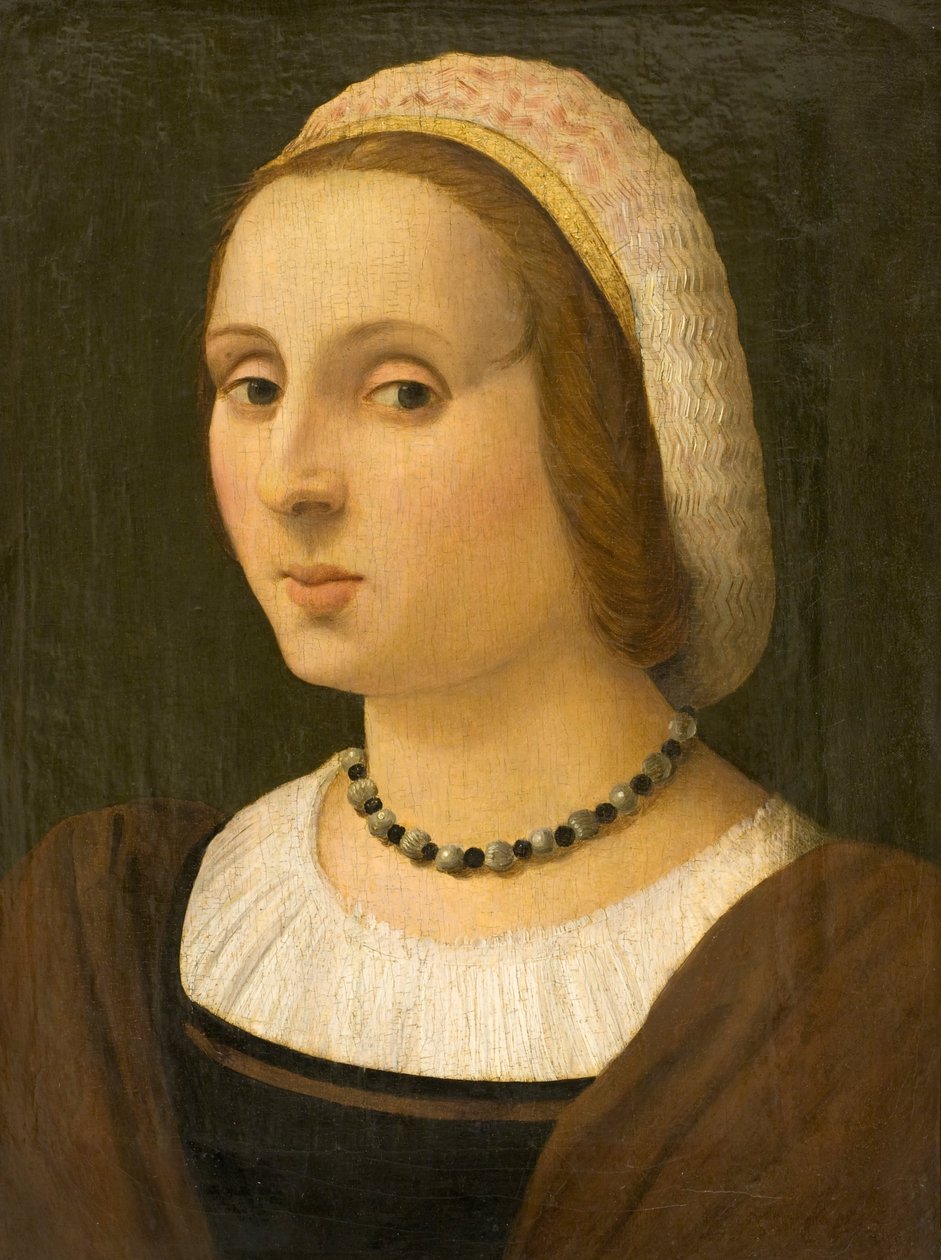 Portret damy autorstwa Vincenzo Tamagni