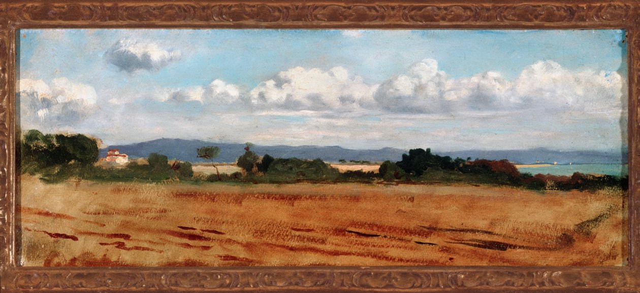 Krajobraz z chmurami w Castiglioncello (olej na płótnie) autorstwa Vincenzo Cabianca