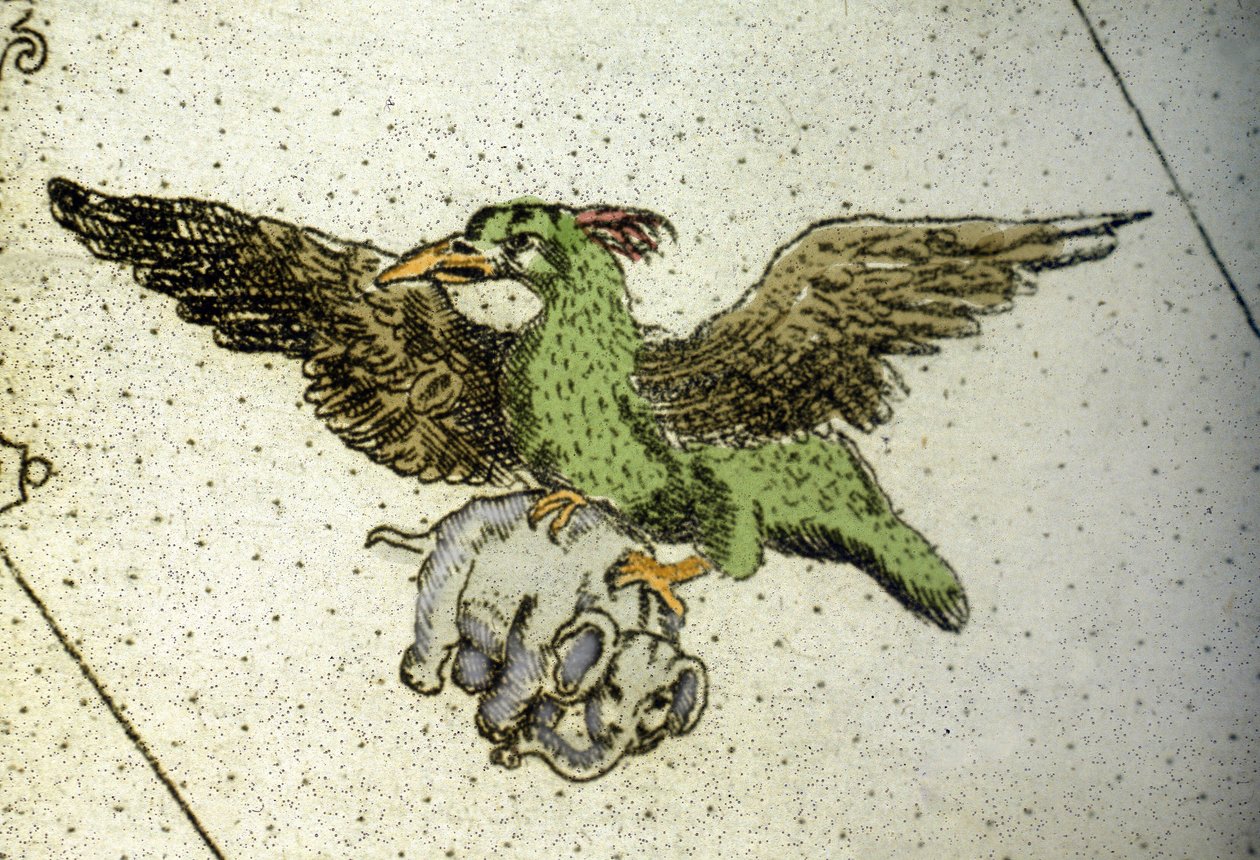 Olbrzymi ptak Rok niosący słonia między szklarniami, aby przekazać go młodym, szczegółową mapę świata autorstwa Vincenzo coronelli (1650-1718). XVII wiek autorstwa Vincenzo Maria Coronelli