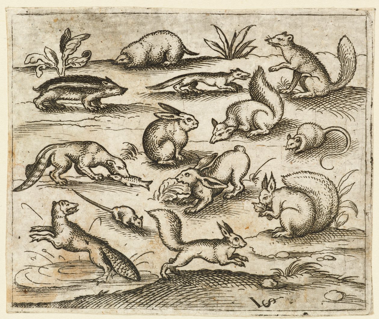 Grupa małych leśnych stworzeń jedzących i biegających wokół stawu, w tym mysz..., 1557. autorstwa Virgil Solis