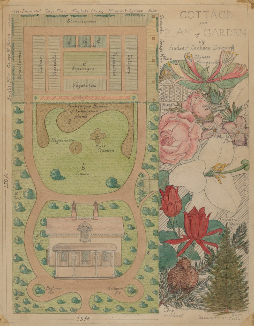 Rzut parteru dla domku, ok. godz. 1936. autorstwa Virginia Richards