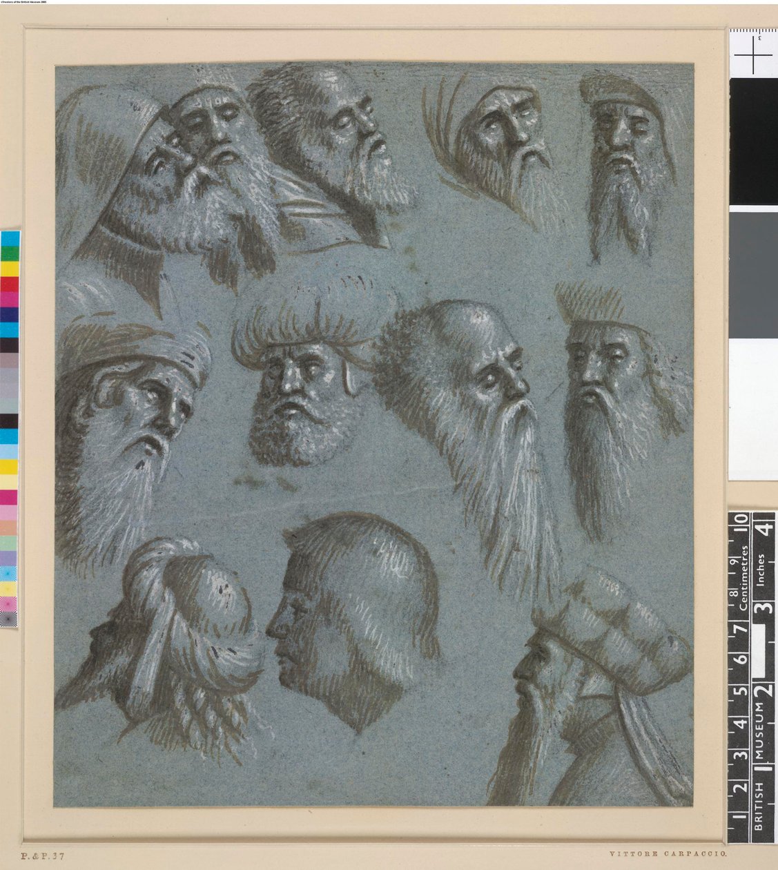 Przypisywany Carpaccio - Dwanaście głów, głównie mężczyzn z brodami, niektórzy w turbanach, 1892.0411.2 autorstwa Vittore Carpaccio