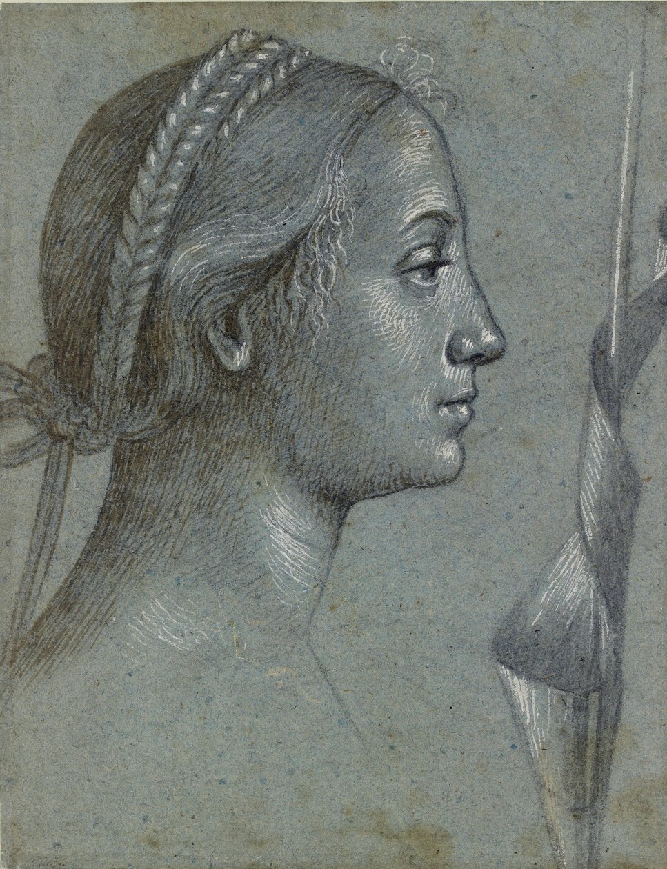 Głowa kobiety z proporczykiem owiniętym wokół Polaka, koniec XV w. autorstwa Vittore Carpaccio