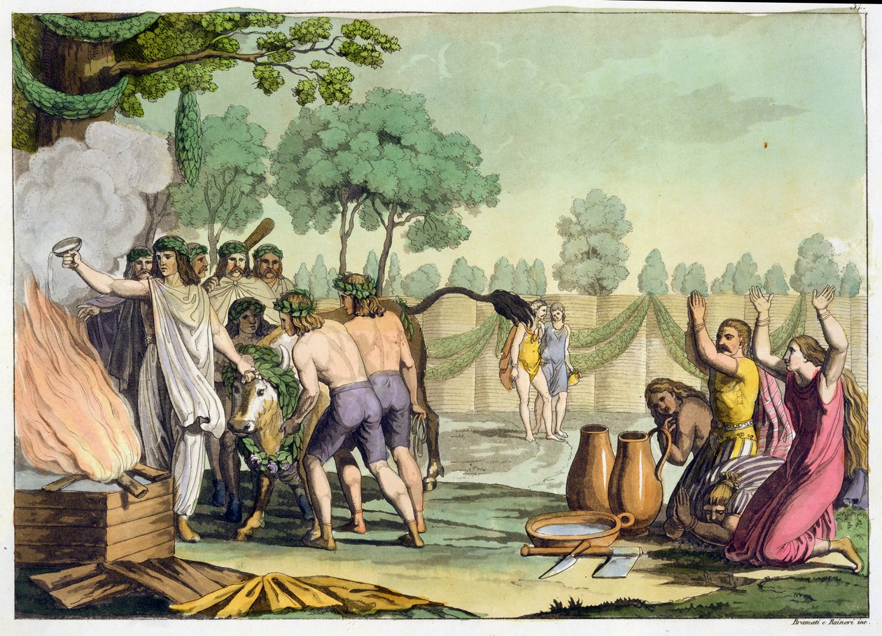 Starożytni Celtowie lub Galowie składają w ofierze krowę, ok.1800-18 autorstwa Vittorio Raineri