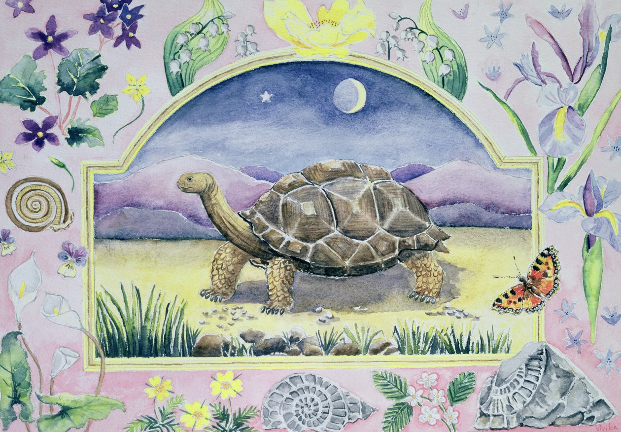 Giant Tortoise (miesiąc maj z kalendarza) autorstwa Vivika Alexander