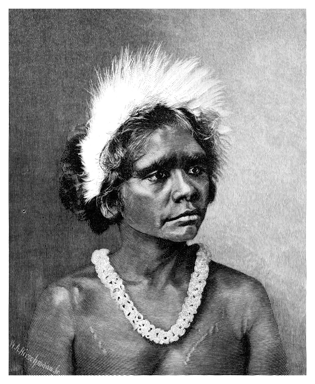 Aborygenka, 1886. autorstwa WA Hirschmann